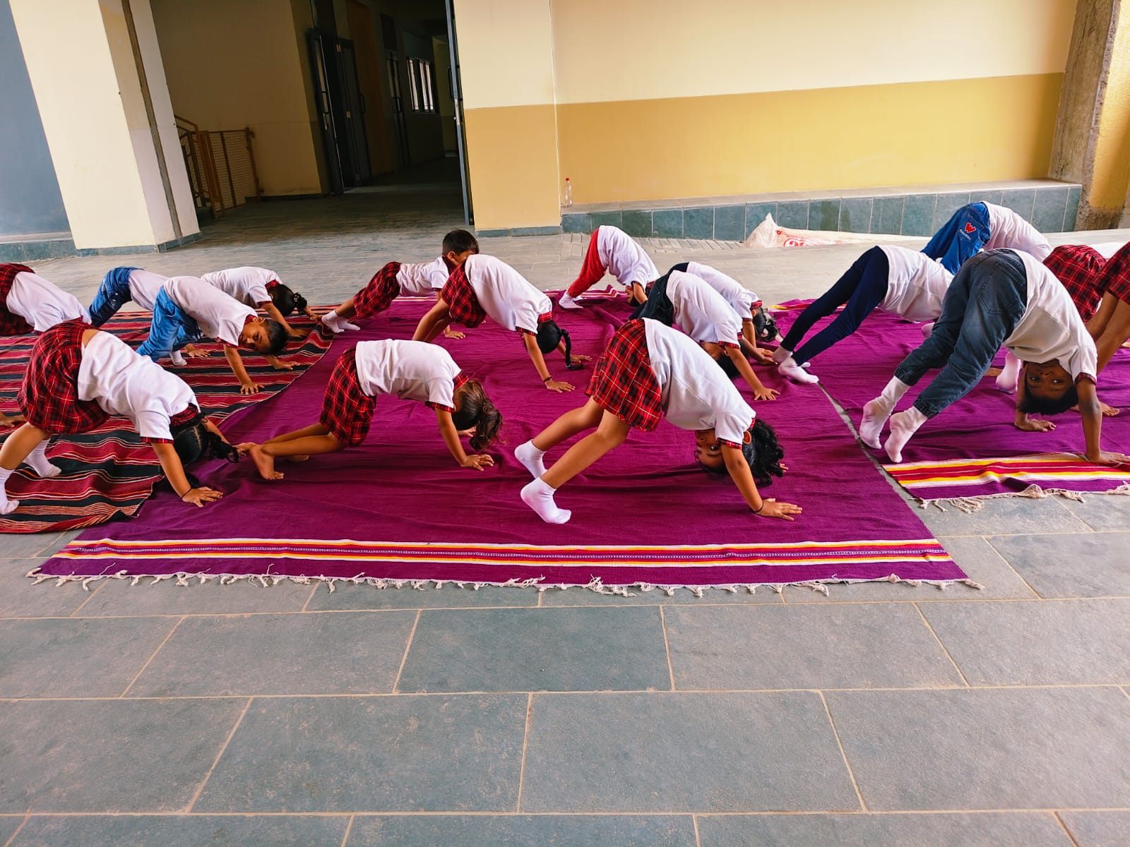GMS Activities