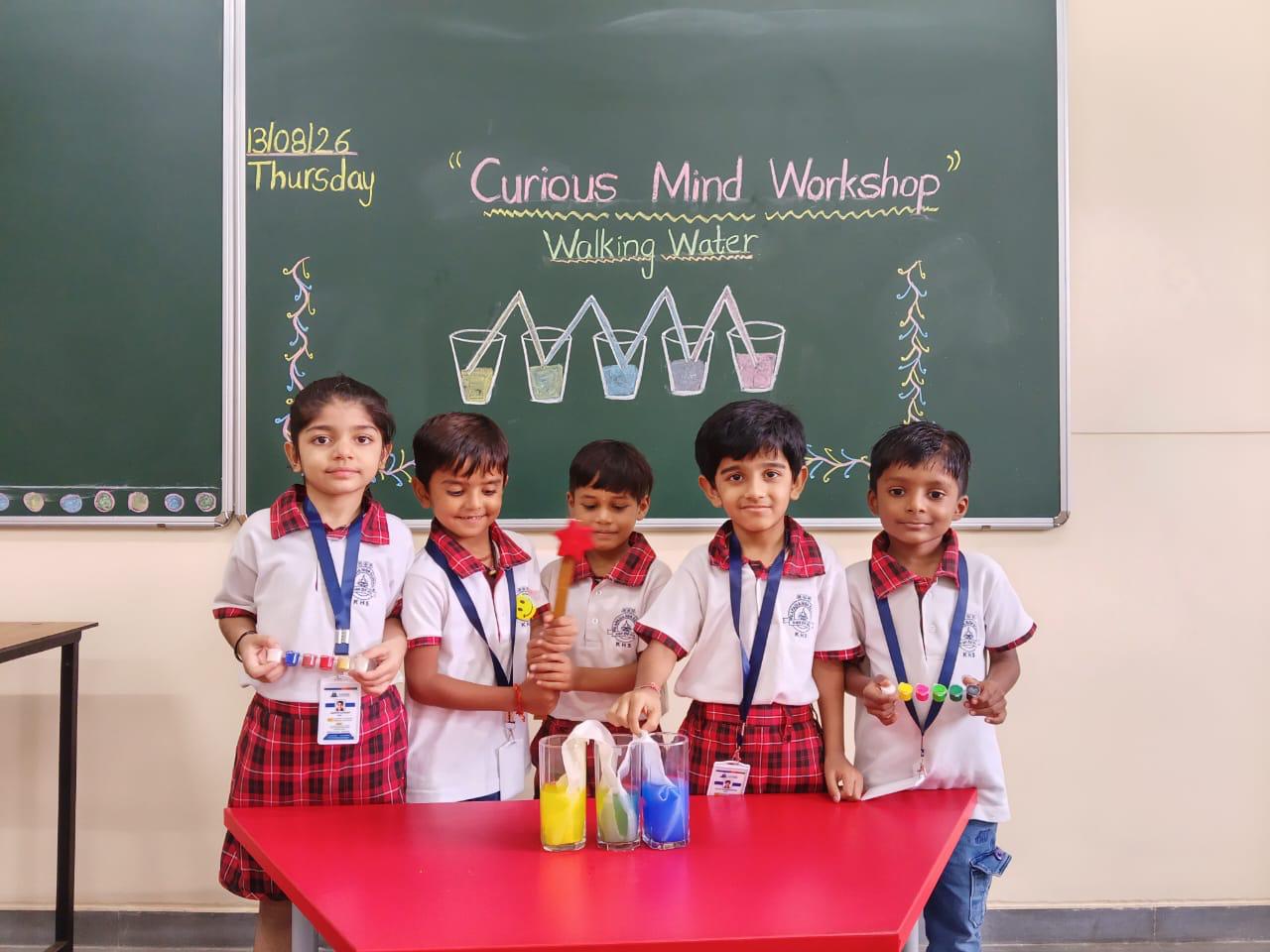 Curios Mind Workshop